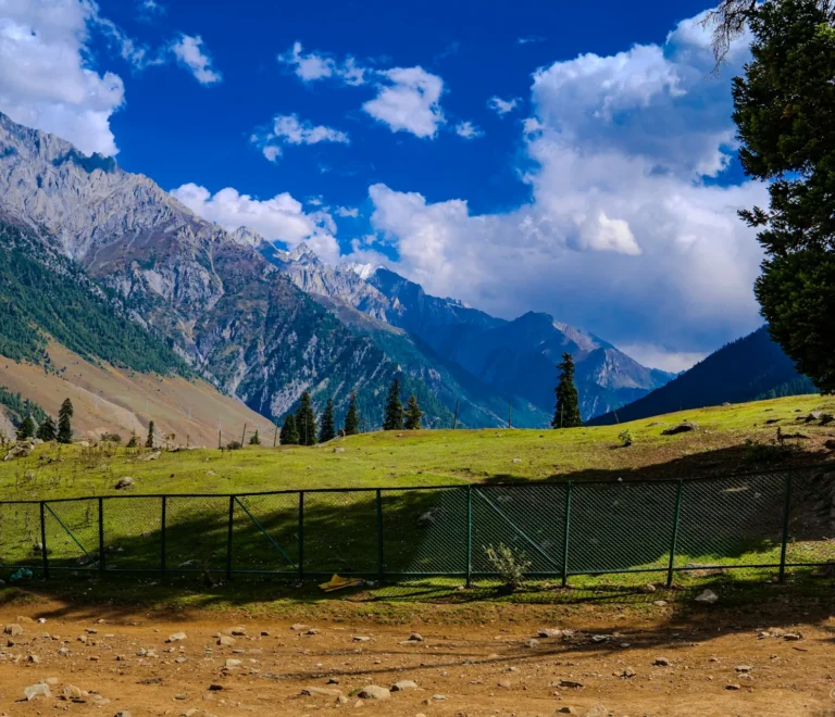 5 Nights 6 Day Kashmir Tour Package