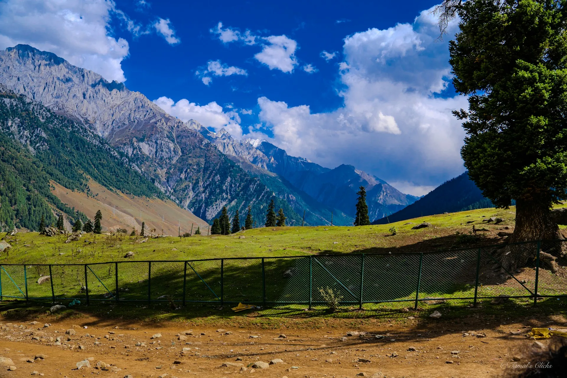 5 Nights 6 Day Kashmir Tour Package