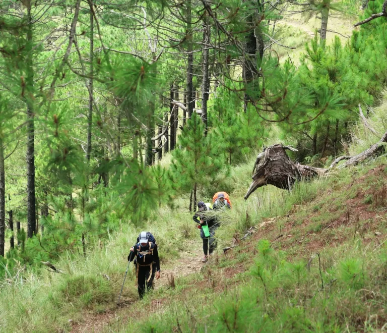 Tosamaidan 6 Nights 7 Day Trek